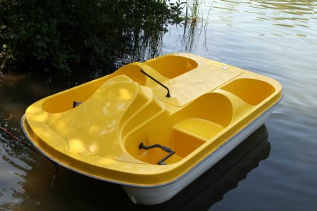 Кременчужани зможуть плавати з лебедями у Міському саду