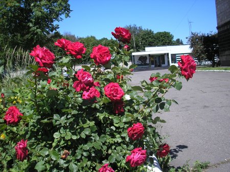 Наша назва - завод технічного вуглецю, а не “сажовий завод”!