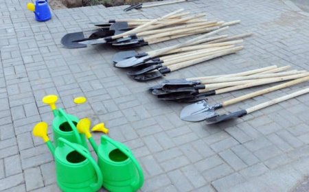 Кременчуцьким студентам та школярам пропонують влітку "розпиляти" 800 тис грн