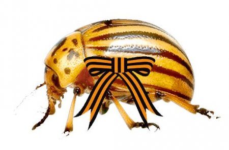 В Полтаве будут заочно судить информатора террористов из «ДНР» В Полтаве будут заочно судить информатора террористов из «ДНР»