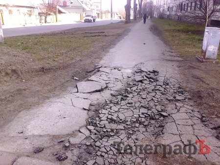 В Кременчуге на Европейской деревья кронируют - щепки летят... асфальтные
