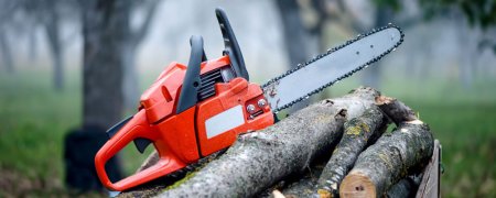 От «это убивает» до «мне тоже надо» - мнения кременчужан о кронировании деревьев