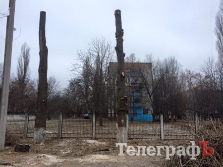 От «это убивает» до «мне тоже надо» - мнения кременчужан о кронировании деревьев