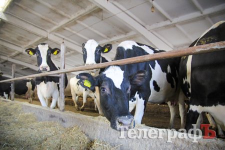 ТМ «Гармонія» без секретів, без завіс!