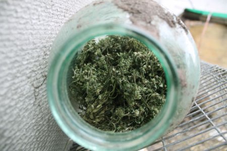 На Полтавщині у чоловіка вилучили дві 3-літрові банки коноплі