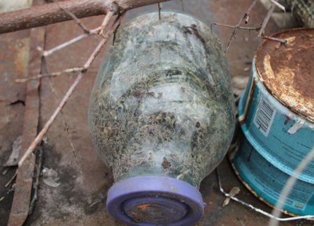 На Полтавщині у чоловіка вилучили дві 3-літрові банки коноплі