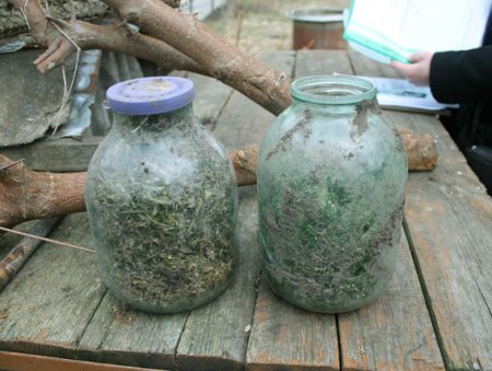 На Полтавщині у чоловіка вилучили дві 3-літрові банки коноплі На Полтавщині у чоловіка вилучили дві 3-літрові банки коноплі