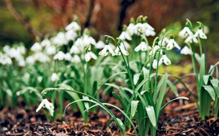 На кременчужан чекає сухий і теплий тиждень, але з туманами