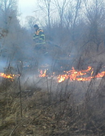 Под Кременчугом сгорело 10 гектаров сухой травы Под Кременчугом сгорело 10 гектаров сухой травы