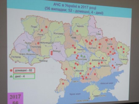 На Полтавщині закрили 6 з 10 карантинних пунктів, де фіксували африканську чуму свиней
