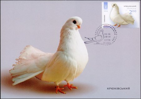 У Кременчуці шукають місцевих скульпторів для створення пам'ятника голубам