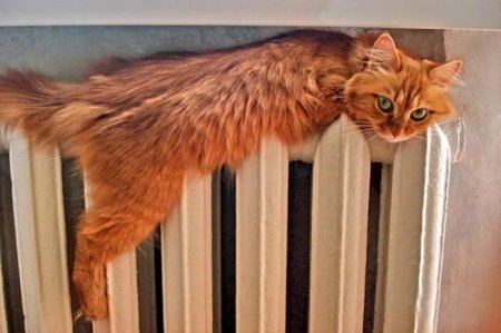 В мэрии объяснили, почему кременчужанам с левобережья жарко, а остальным нормально