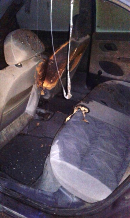 Под Кременчугом горел Ford Mondeo