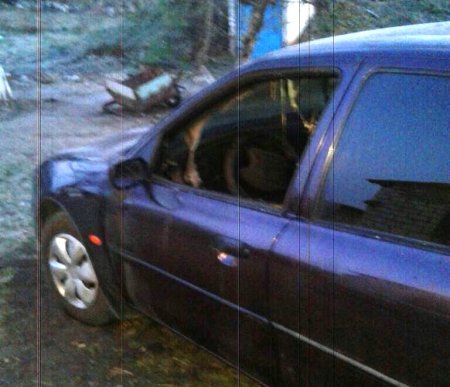 Под Кременчугом горел Ford Mondeo Под Кременчугом горел Ford Mondeo