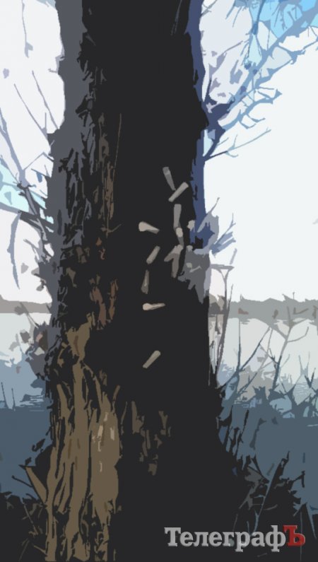 Приколы нашего городка: на обычном дереве на Раковке «распустились» шприцы