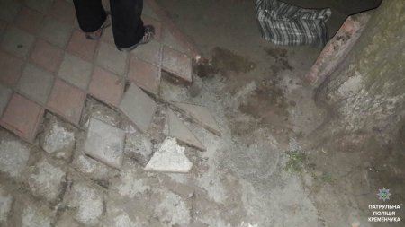 Кременчужанка на пр. Леси Украинки разбирала тротуар и складывала плитку в сумку