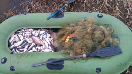 Операция «Нерест»: им не удалось уйти