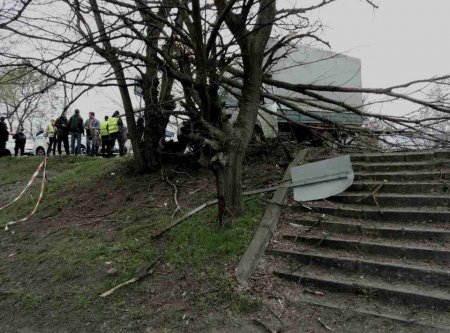 В Кременчуге грузовик врезался в дерево
