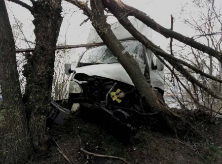 В Кременчуге грузовик врезался в дерево