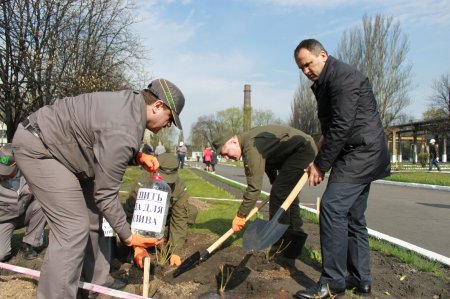 Завод троянд: на КЗТВ відновили добру традицію