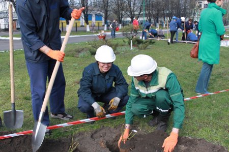 Завод троянд: на КЗТВ відновили добру традицію
