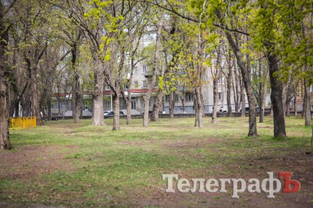 Кременчугская молодежь вычистила 3 городских парка