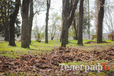 Кременчугская молодежь вычистила 3 городских парка