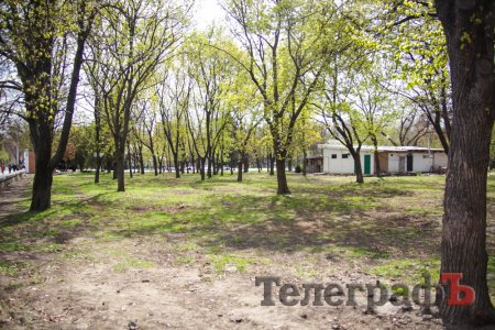 Кременчугская молодежь вычистила 3 городских парка