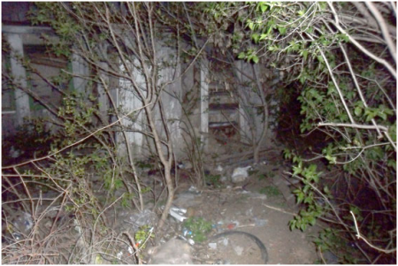 Кременчужанка рассказала продавцу магазина о том, что совершила убийство