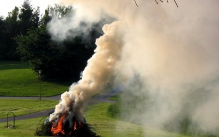 За сжигание листьев-таки наказывают: кременчужанин попался на горячем