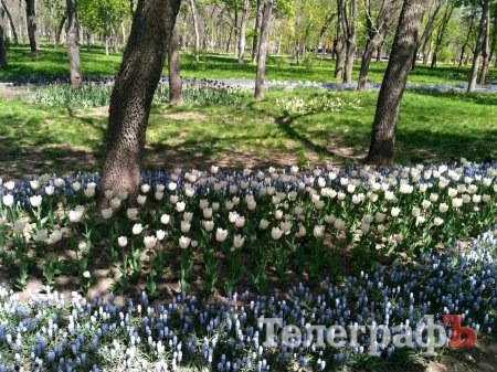 Тур вихідного дня до «маленького Парижа» у центрі України - Кропивницького