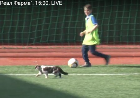 Футболісти  «Кременя»  виривають перемогу у матчі з одеситами