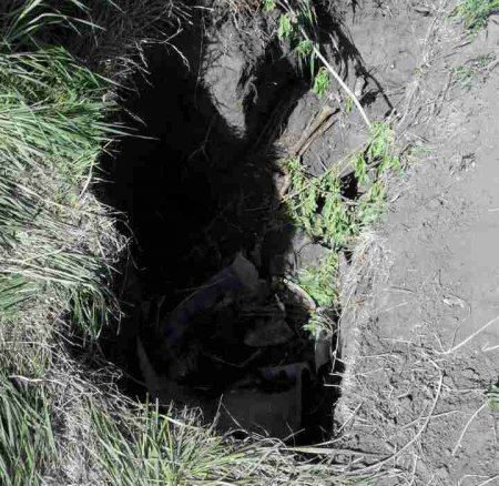 Под Кременчугом откопали человеческие кости