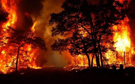Дууууже гаряче: кременчужан попереджають про можливі пожежі