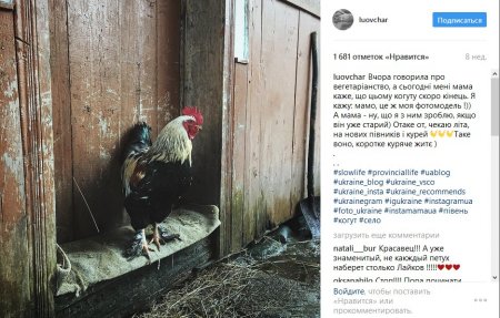 В кінці робочого дня: теплі фото з Іnstagram українки, що сколихнули соцмережі