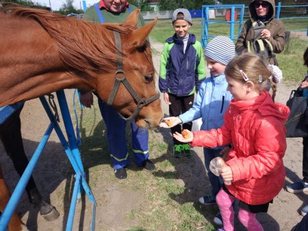 Діти АТОвців осідлали коней Діти АТОвців осідлали коней