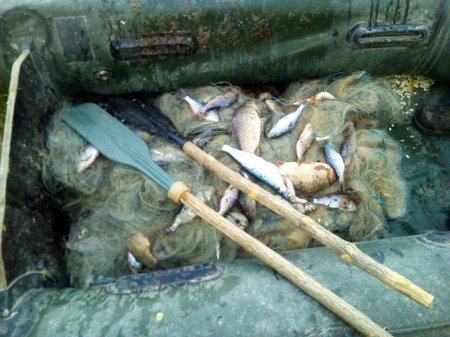 Браконьєр нарибачив майже на 10 тисяч гривень