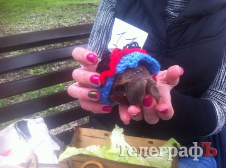 Костюмированный парад животных в Кременчуге