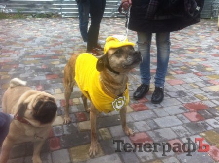 Костюмированный парад животных в Кременчуге