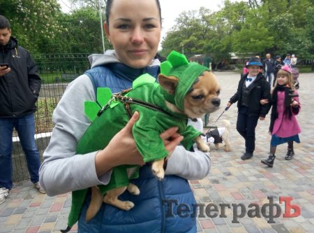 «Кубок Хатико» достался псу Умке из кременчугского приюта
