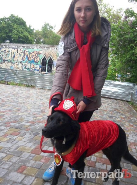 Прямо на параде собаку из приюта Креветку забрала новая хозяйка
