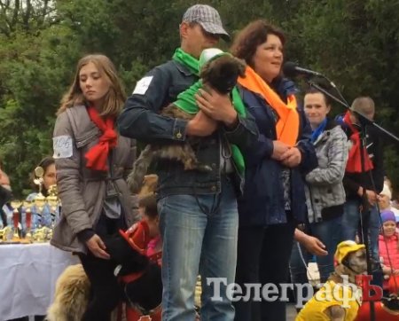 Прямо на параде собаку из приюта Креветку забрала новая хозяйка