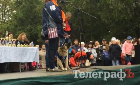 Прямо на параде собаку из приюта Креветку забрала новая хозяйка