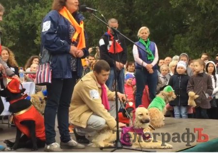 Прямо на параде собаку из приюта Креветку забрала новая хозяйка