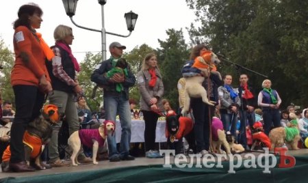 На костюмированном параде животных в Кременчуге собрали 9450 гривен для приюта