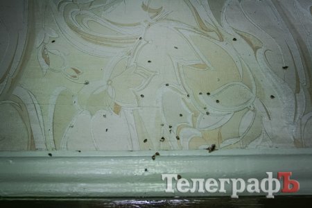 Кременчужанка считает, что ее дом обстреляли и устроили пожар из-за долгов