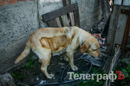 Кременчужанка считает, что ее дом обстреляли и устроили пожар из-за долгов