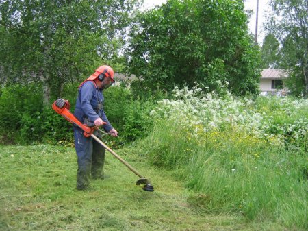 Инвалиды Кременчуга просят коммунальные службы покосить у них траву