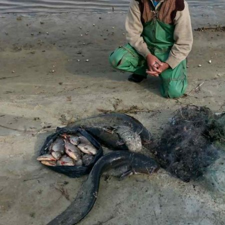 Такой улов сорвался: полицейские Кременчугского района задержали очередного рыбного браконьера 