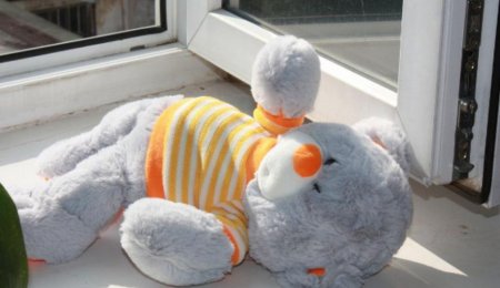 В Малой Кохновке 8-летняя девочка выпала из окна